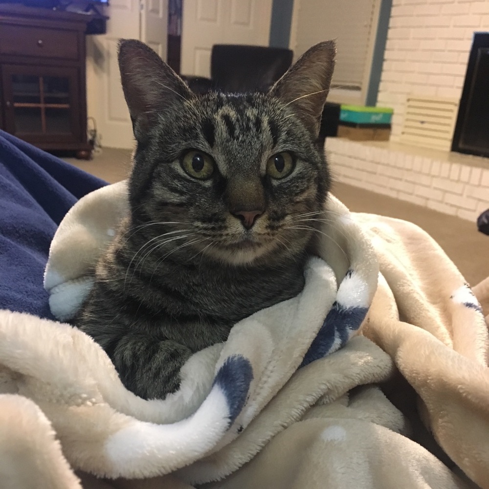 Meet your Posher, Heather